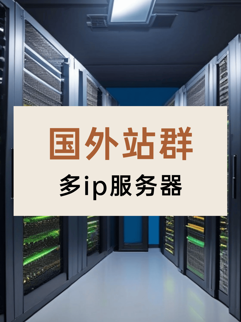 站群程序出售：网络时代的创新工具